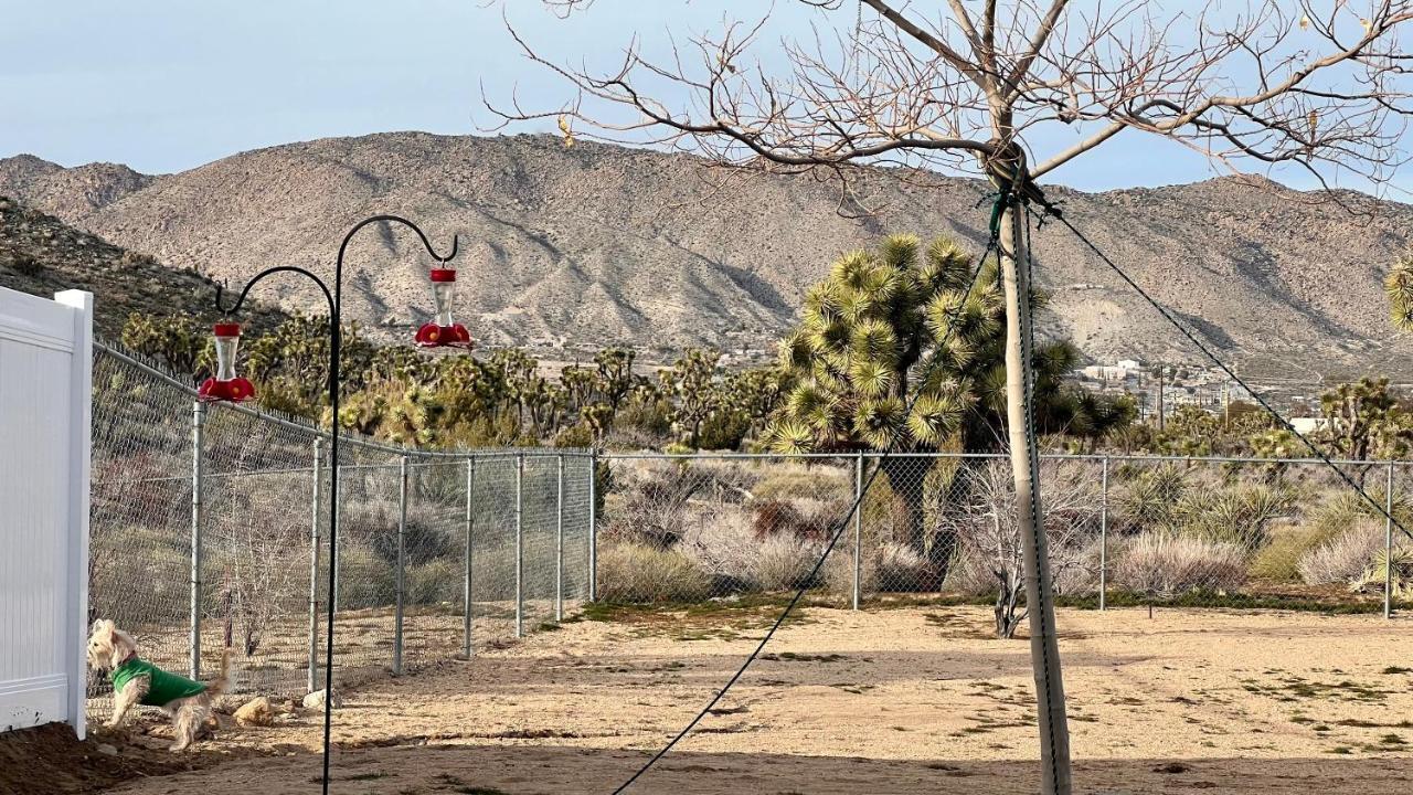 Peaceful Home With Nature Views & Trail Access ユッカ・バレー エクステリア 写真